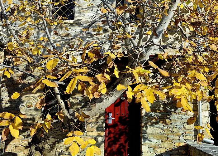 Anovolios Boutique 酒店 安吉斯乔治亚斯尼拉